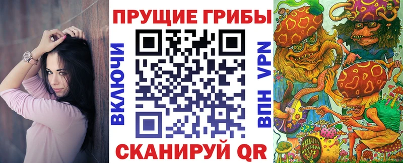закладки  Тобольск  Псилоцибиновые грибы мицелий 